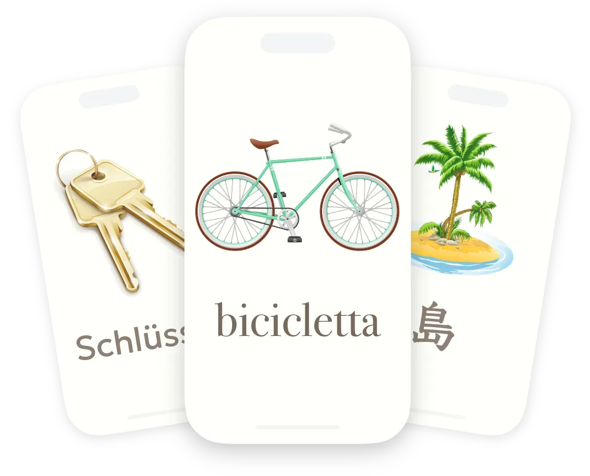 Vocabulary flashcards with photos