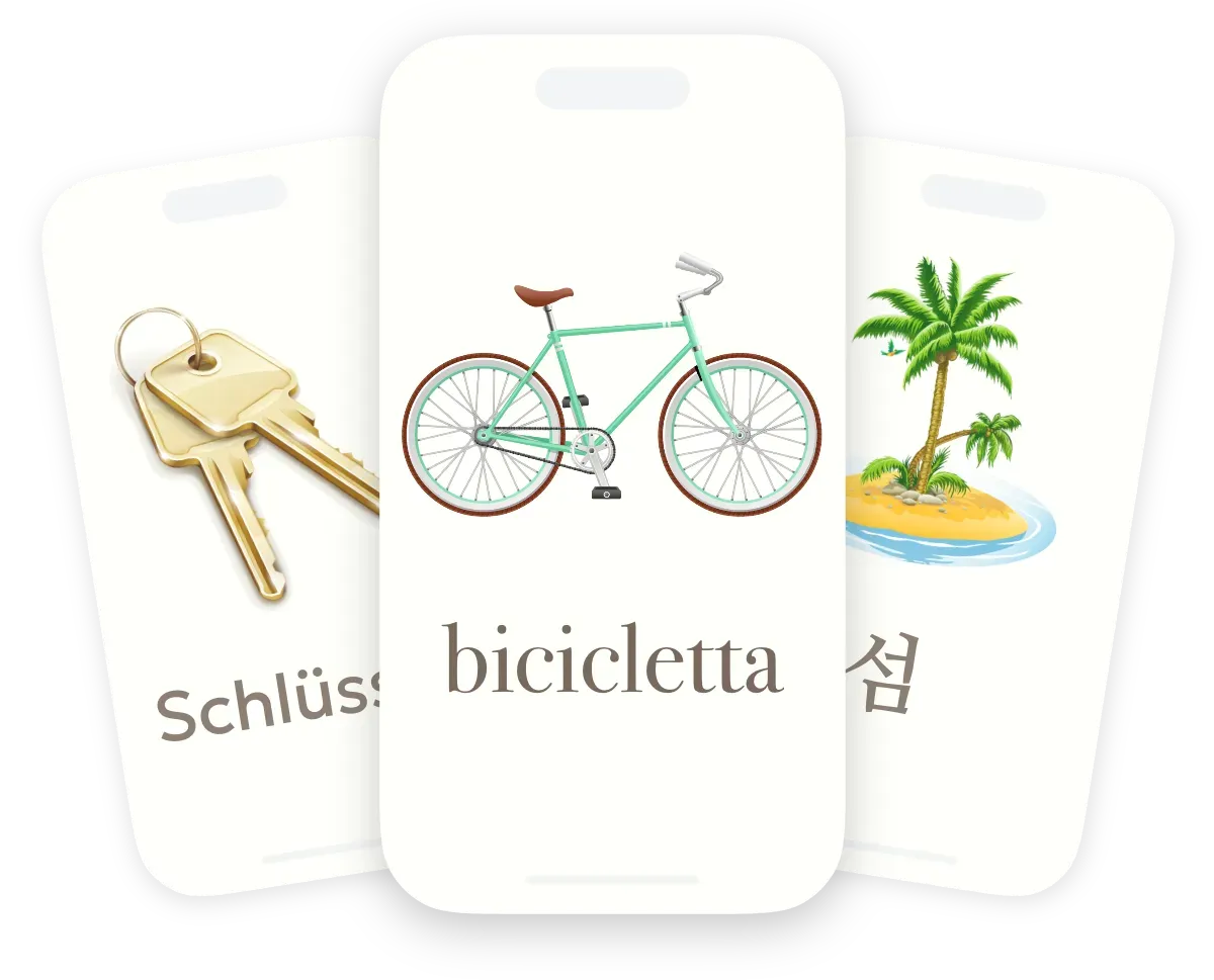 Vocabulary flashcards with photos